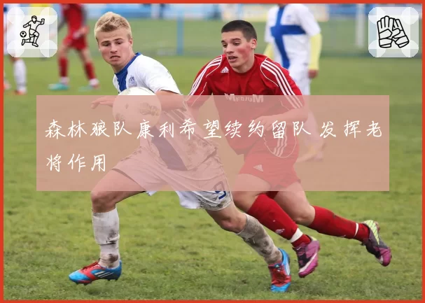 森林狼队康利希望续约留队 发挥老将作用