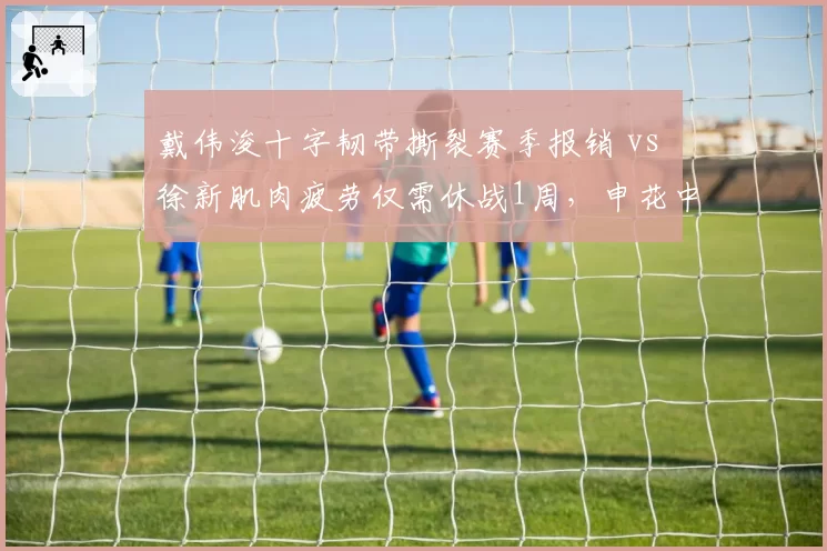 戴伟浚十字韧带撕裂赛季报销 vs 徐新肌肉疲劳仅需休战1周，申花中场伤病严重性悬殊