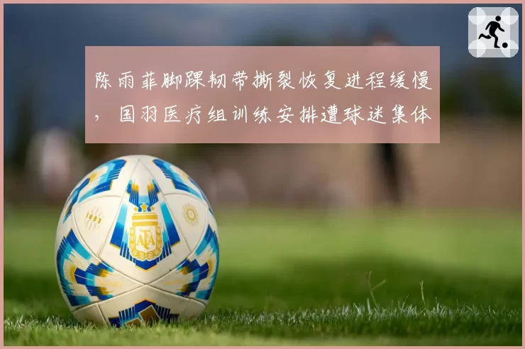 陈雨菲脚踝韧带撕裂恢复进程缓慢,国羽医疗组训练安排遭球迷集体炮轰